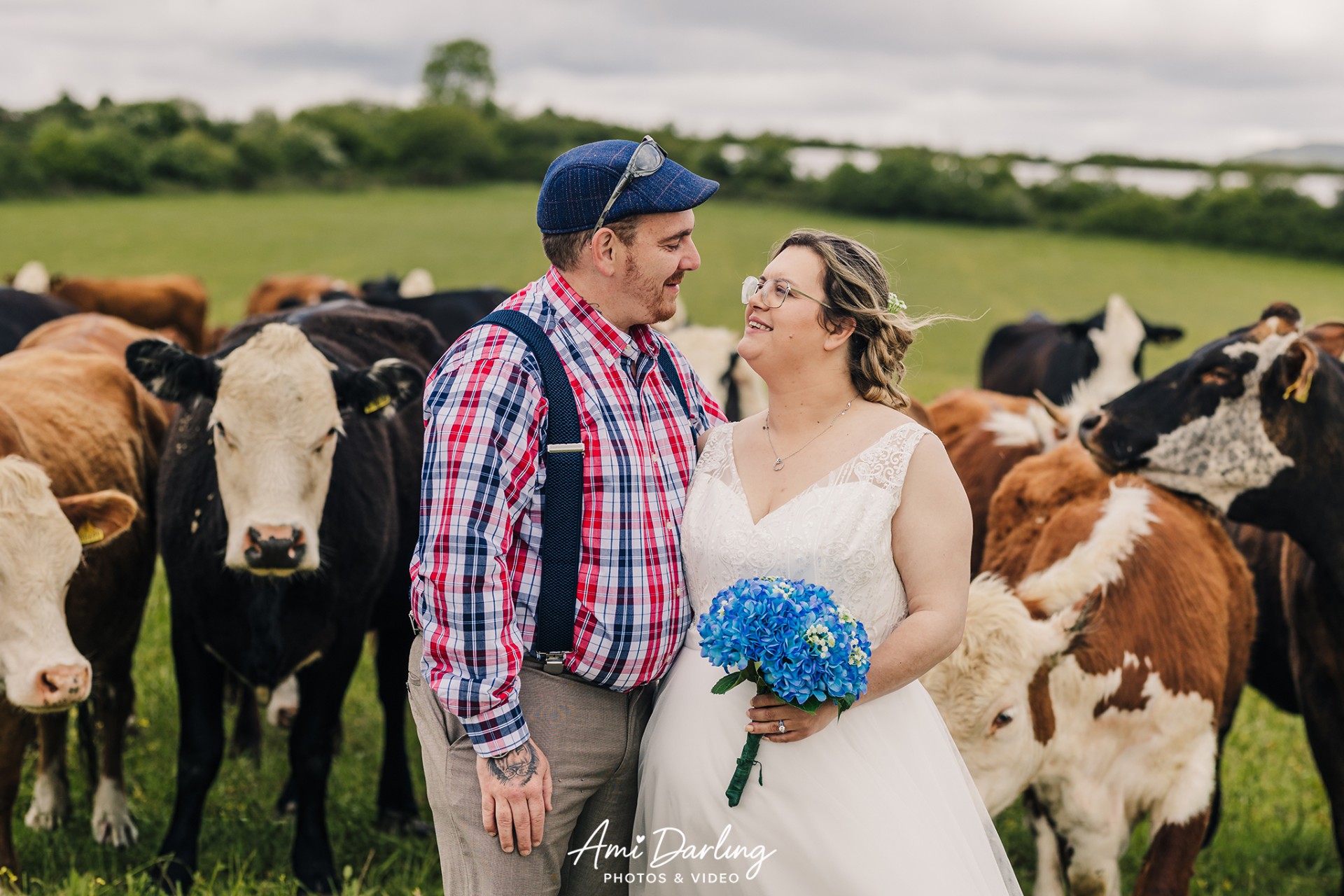 Farm Wedding Cornwall with cows