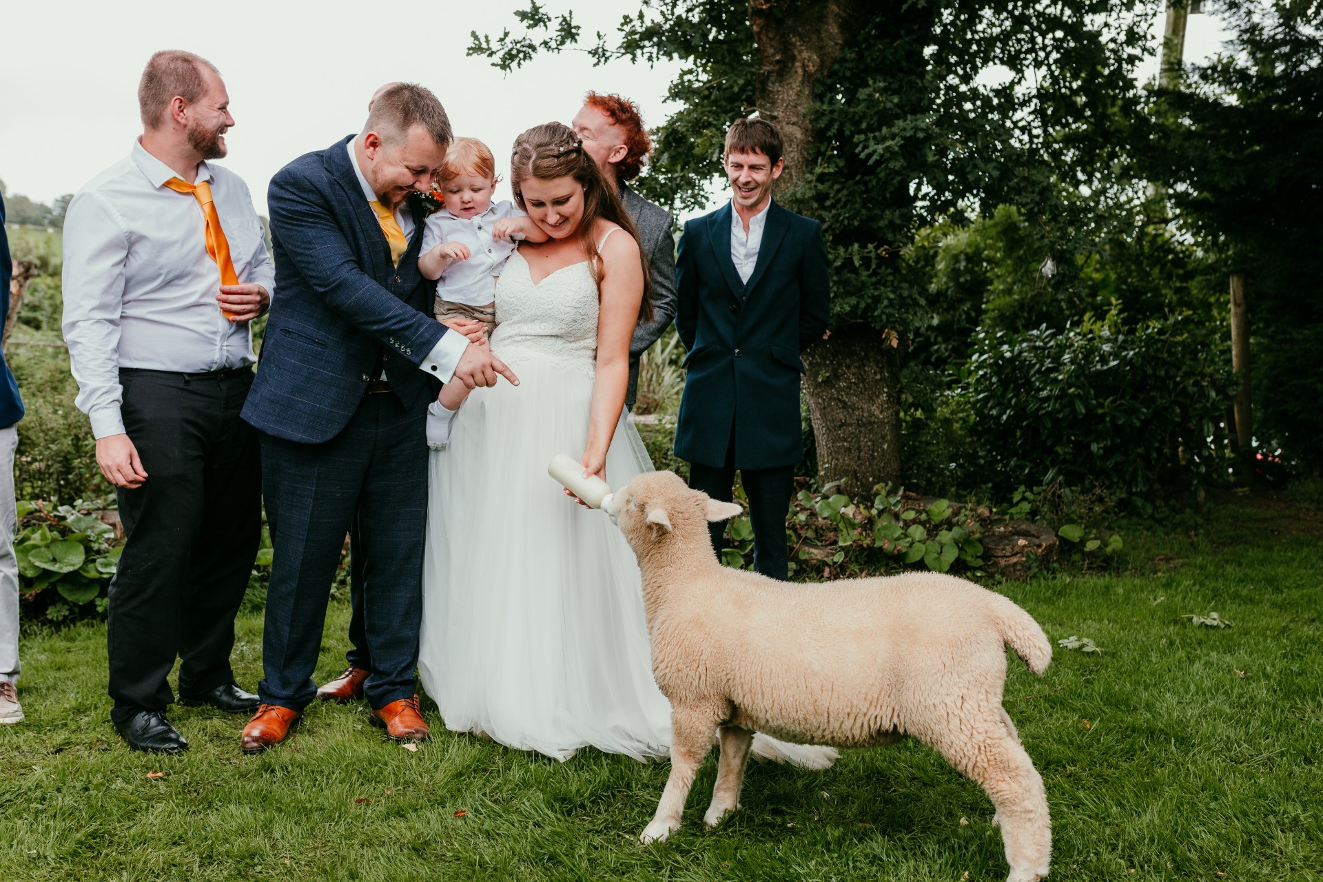 Cornwall lamb farm wedding
