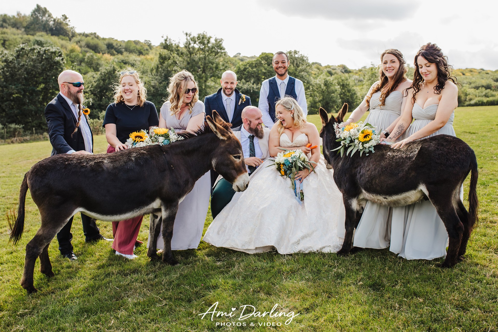 donkeys at wedding in Cornwall